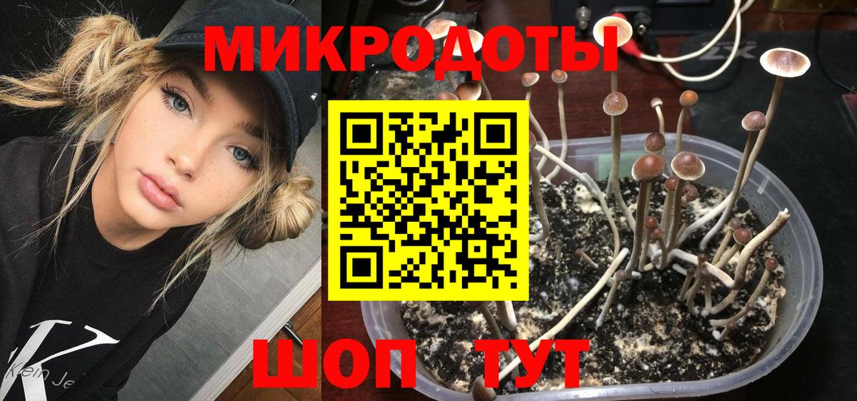 закладки  Галлюциногенные грибы Psilocybe  Алушта  Вход с VPN  Галлюциногенные грибы мухоморы 